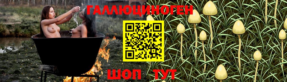 Отрадный  Галлюциногенные грибы прущие грибы  Галлюциногенные грибы GOLDEN TEACHER  Вход с VPN 